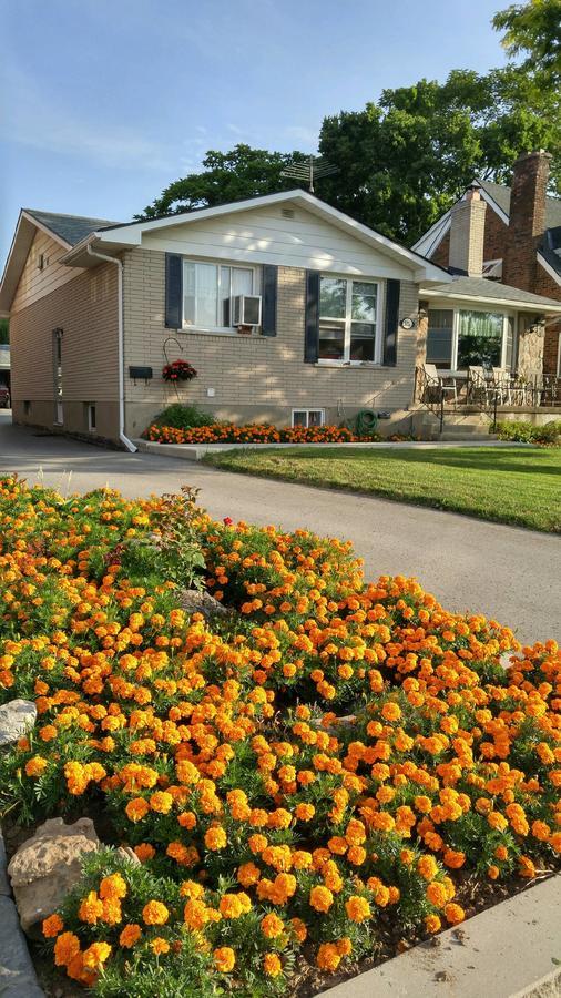 Trillium Bed & Breakfast Niagara Falls Exteriör bild